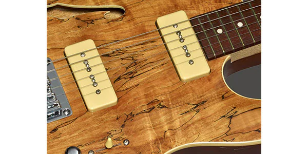 SALE🌟 Michael Kelly Guitars ( マイケルケリーギターズ ) / Ele Gtr