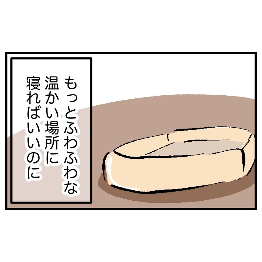 Post by もっち｜漫画 on X: 1