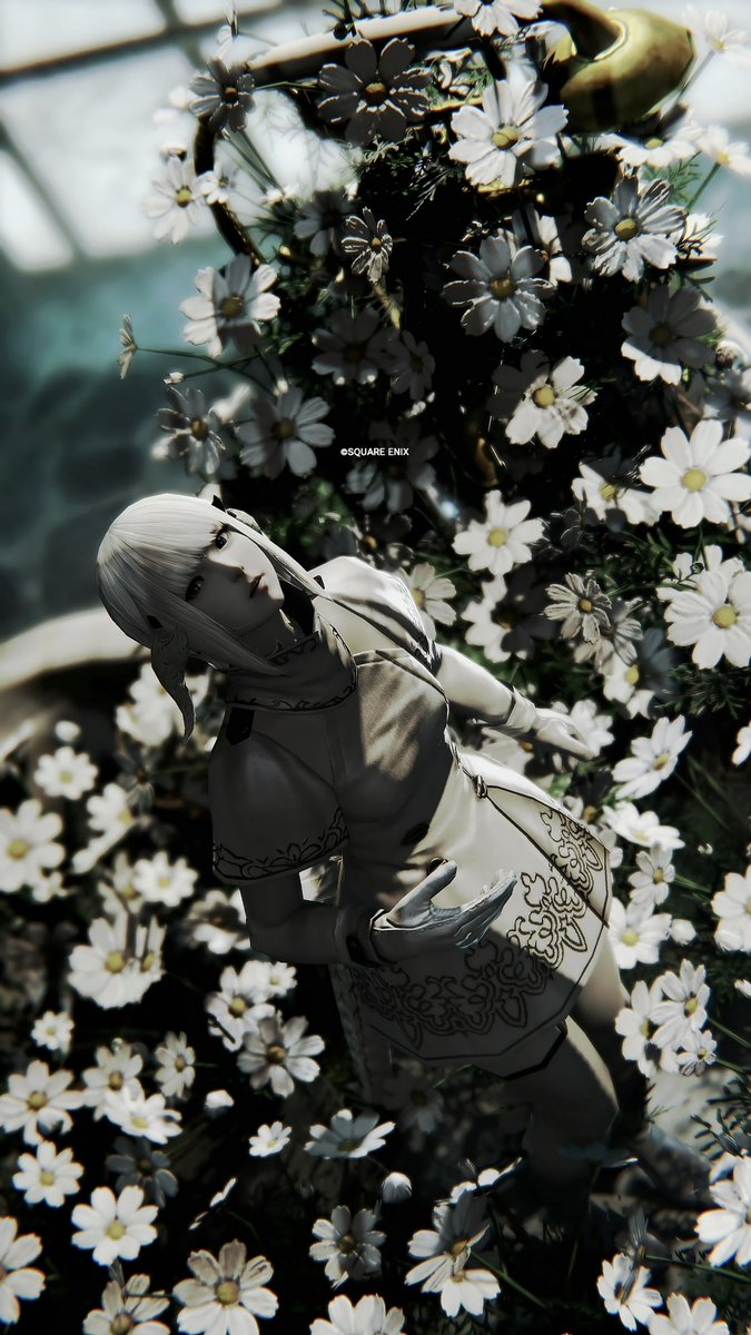 CoHakuff14's tweet photo. #FF14SS #おはウラ
少し多忙で撮影時間があまり取れないから数日間前撮ったやつで回します💩 https://t.co/HpTGU7x8Vh