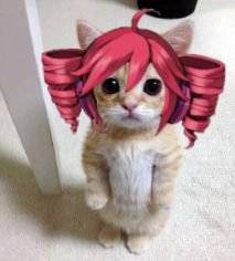 Femtrin's tweet photo. @FUTUREOF2006 @Outcomemories Huh??? Am i going to die??? https://t.co/hUBU9rCke3