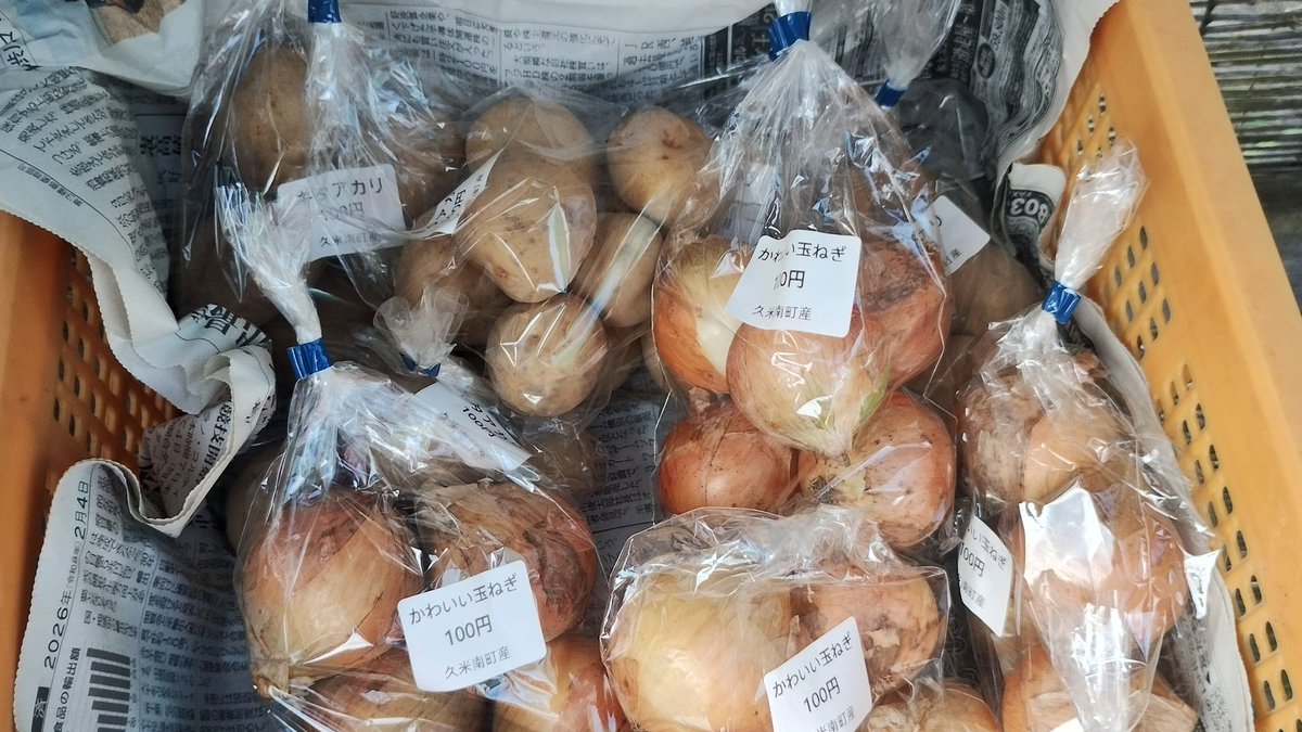 fmkumenan's tweet photo. おはようございます。
本日6月22日の販売所はキタアカリと玉ねぎがあります。

じゃがいもは日にあたるとよくないので、新聞紙で影にしています。

美咲町物産センターにも持っていっています。 https://t.co/mEwcozPJtv