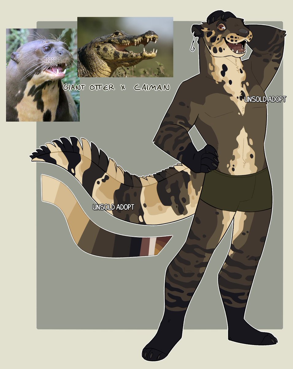 dozakeet's tweet photo. Looking for offers starting at 100 CAD! 🦦🐊🤎 https://t.co/HMVJWHY3qV