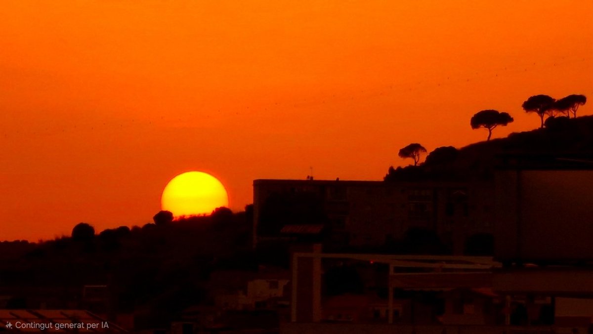 RogerYoda's tweet photo. Bona nit! #postadeSol https://t.co/nIUueLwY0o