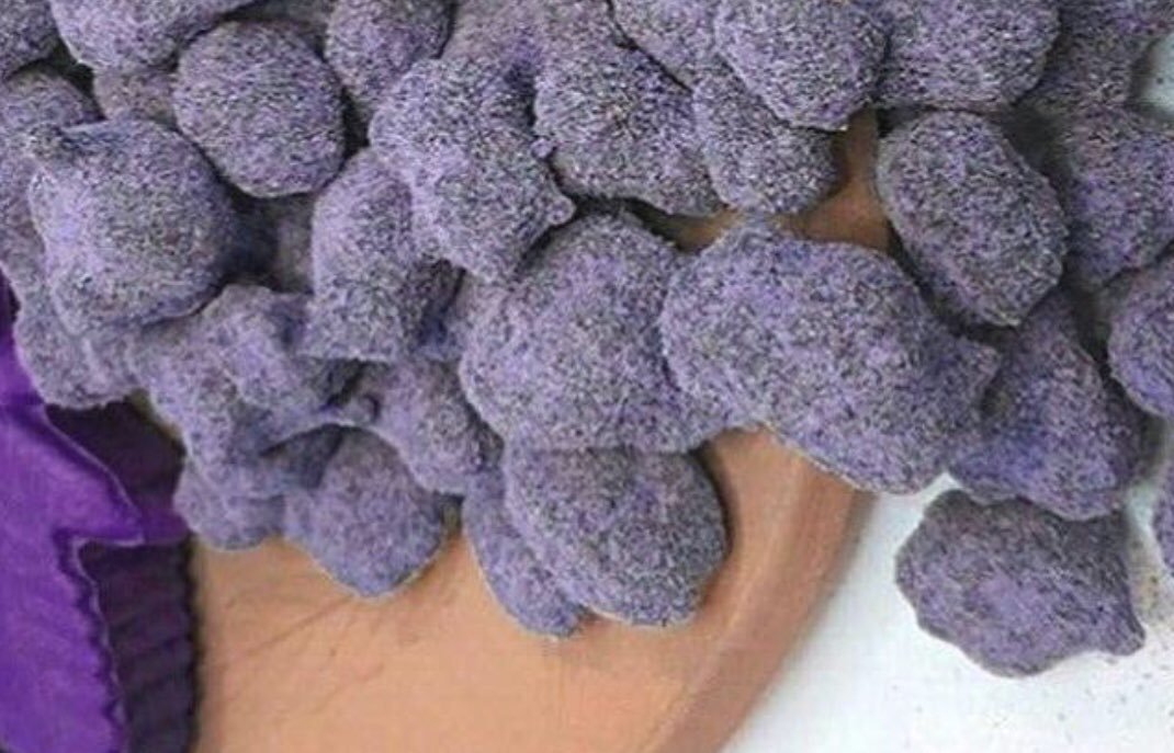 Serimanbuds's tweet photo. #420 #cannabis #ganja #highlife #stoner #kush #weednation #Dabs #blunts #buymarijuana #hightimes #Thc #stoner nation #marijuana #smoke weed #weed nation #Buy marijuana #kush #smokeweed #stayhighlivehigh #OG kush #moon rocks #sourdiesel #purplehaze #bud
#UK Distro https://t.co/fJgg427LqF