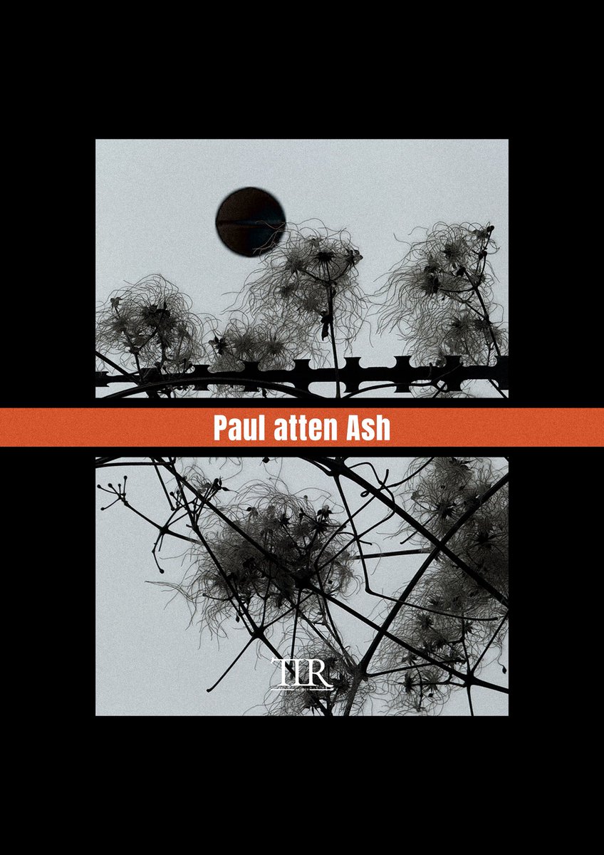 lincoln_review's tweet photo. Delicate forms become intricate worlds in Paul Atten Ash's photography featured in The Lincoln Review Issue 7.

A study in pattern, contrast, and close observation.

Explore the full collection at https://t.co/A2G2R6nHsV. https://t.co/emRyL7wQhB