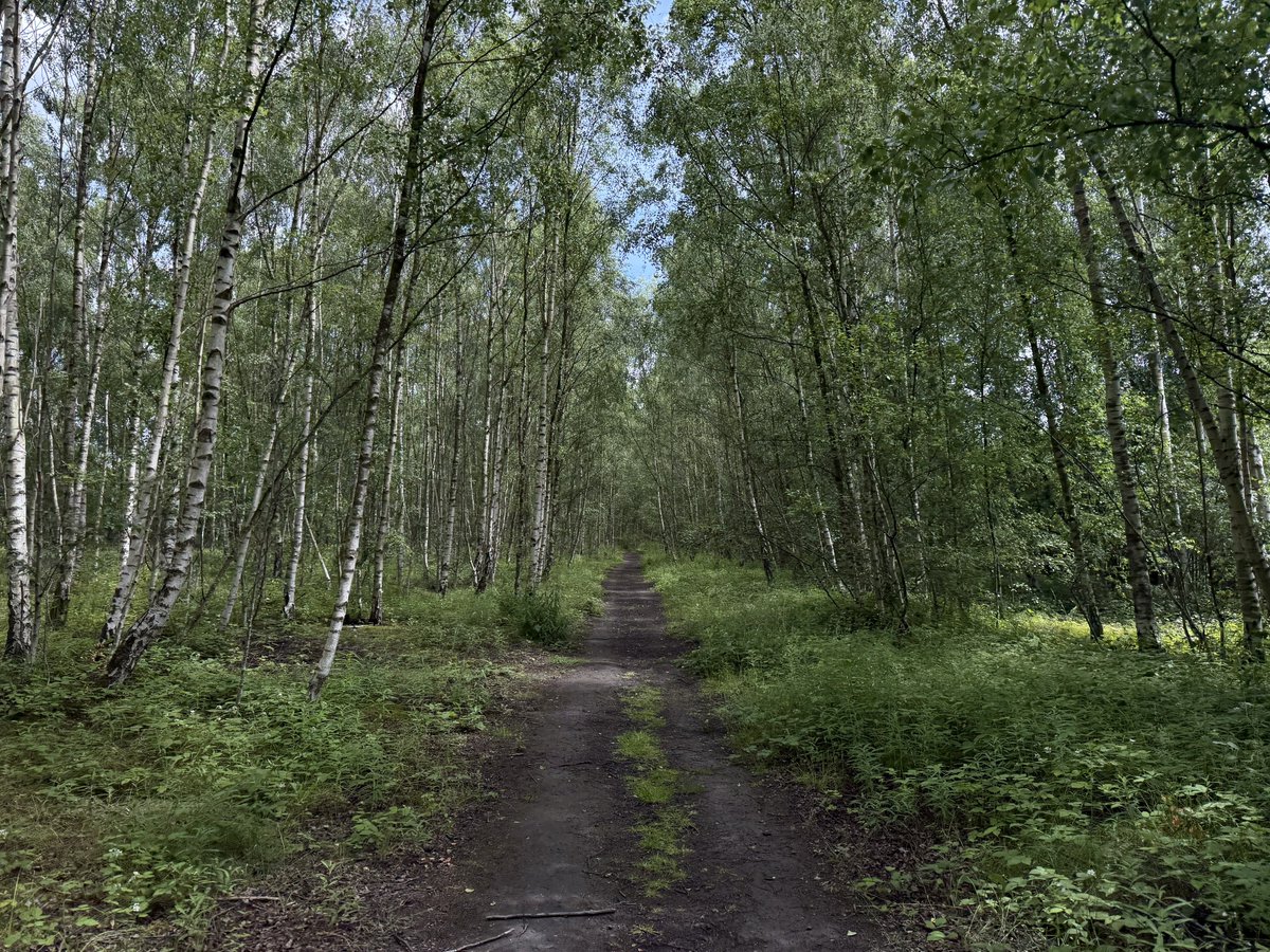 hikingshawty's tweet photo. today i walked five miles and i baked a chocolate cake 🌤️ https://t.co/K434a5k0iD