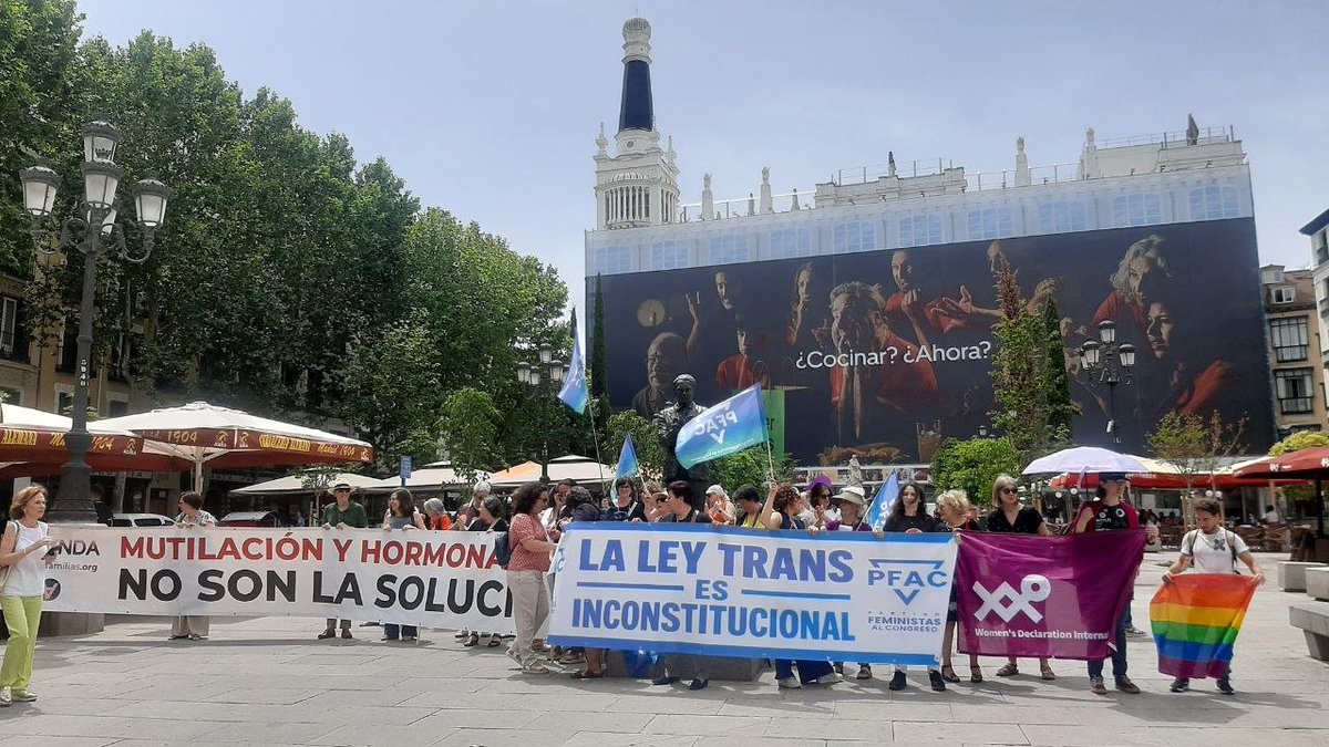 Movimiento Feminista tweet media