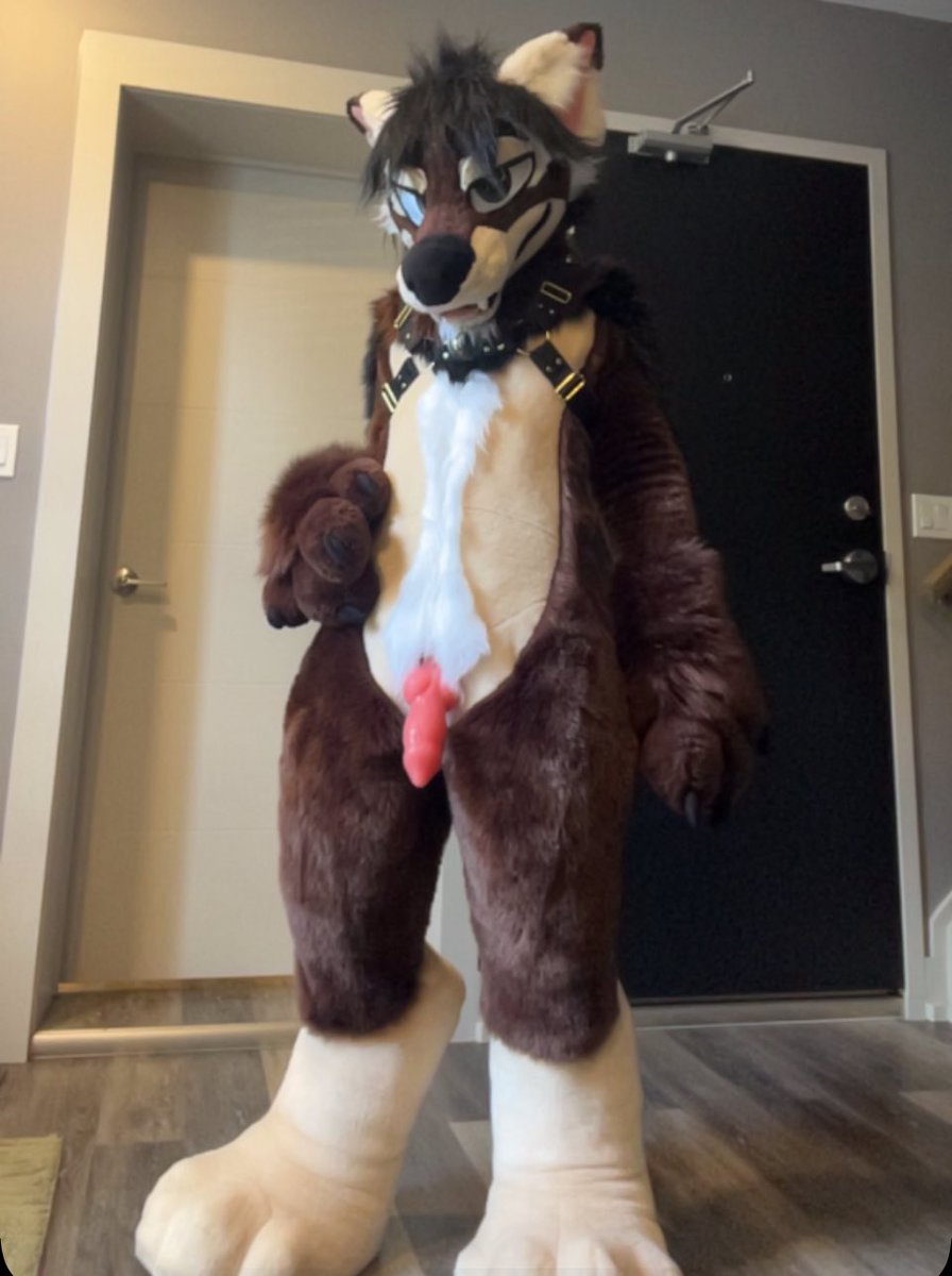 pausedpaws's tweet photo. Sleepover anyone? @streamstoys #fursuit #fursuitmaker #furrynsfw https://t.co/8KuapURT3i