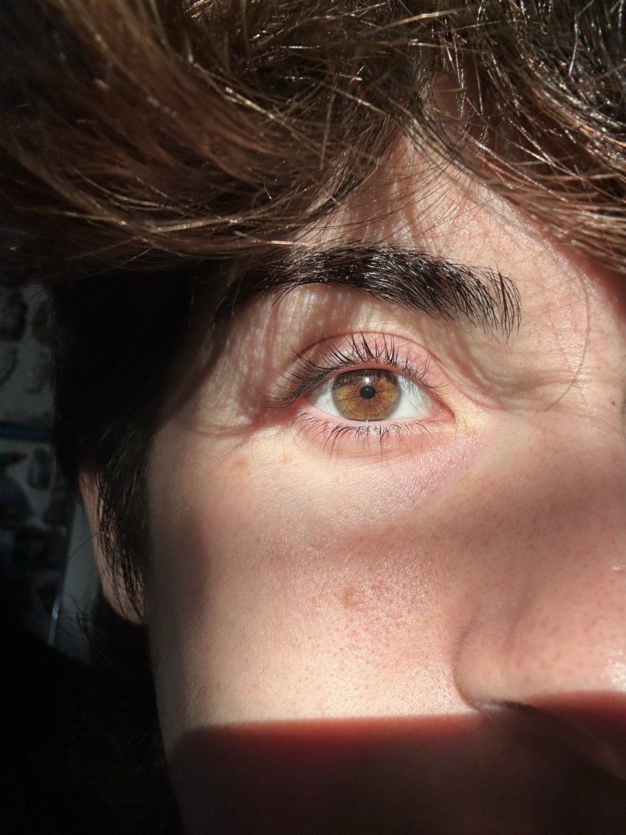 spaceforandres's tweet photo. no sé de qué color son mis ojos. ¿alguien sabe decirme? claramente no son marrones, pero coño, no sé 😩 https://t.co/7SYJeuzUDy