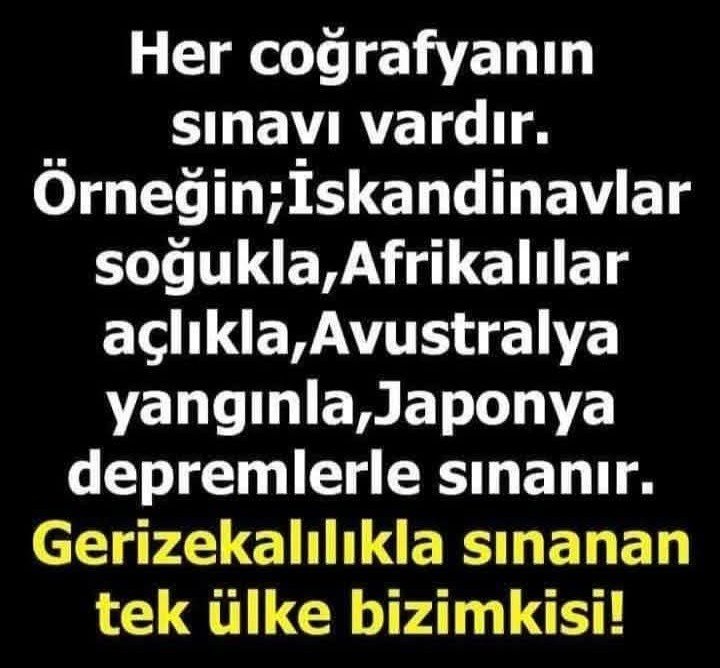 totemcihaluk's tweet photo. Altına üstüne sağına soluna imzamı attım. https://t.co/tXnI6C5yUU