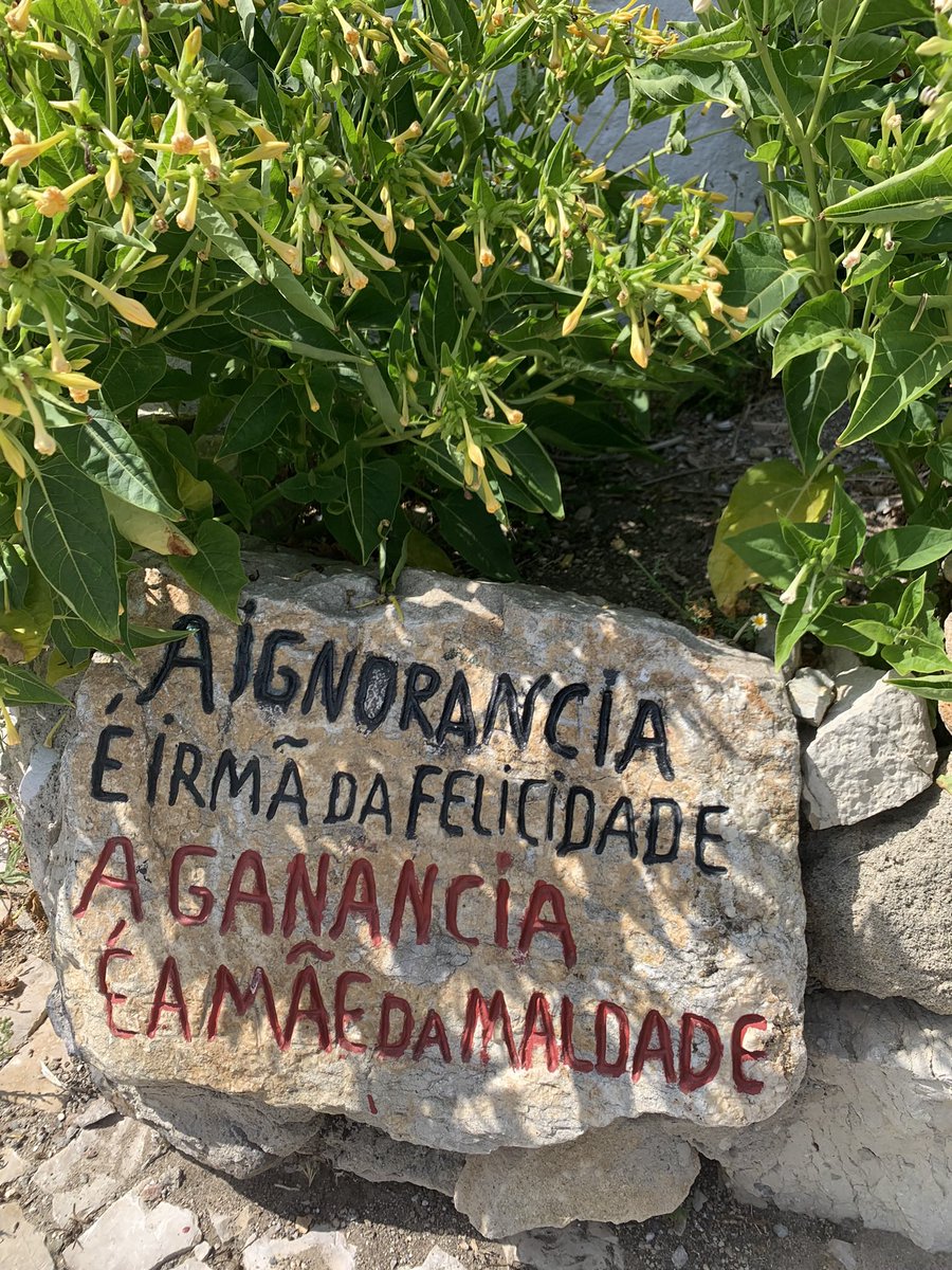 baceloines's tweet photo. Thinking about summer in Azenhas do Mar, Portugal https://t.co/Fby1ib0ICO