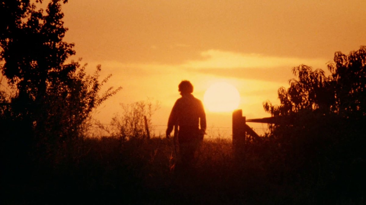 erinhardestys's tweet photo. just rewatched the texas chain saw massacre (1974) for my 33rd time MY FILM FOREVER AND EVER FUCKKK https://t.co/MnfXDiwBXD