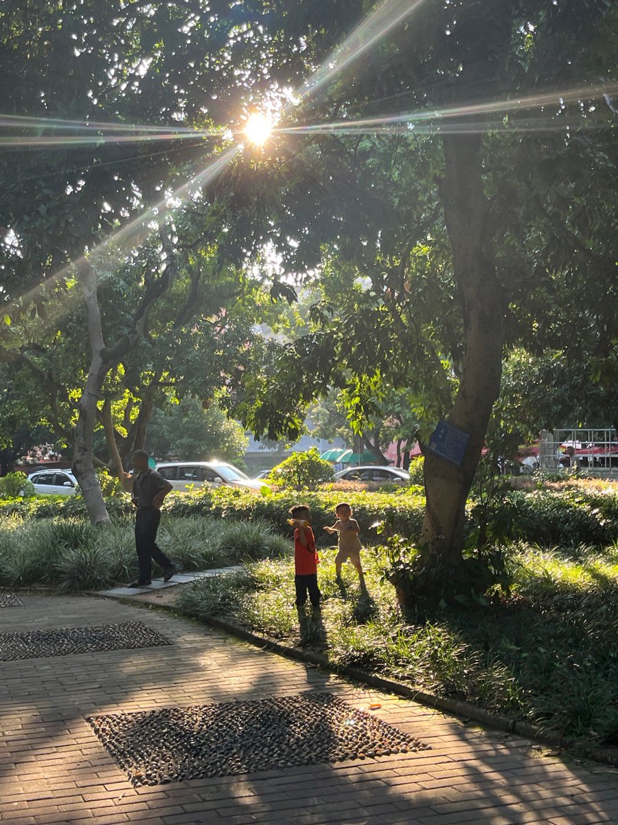 KIPLeon3's tweet photo. Just passed a street busker humming old jazz tunes while the afternoon sun painted golden stripes on the sidewalk. Captured this perfect unplanned little moment. https://t.co/qOFIeQvCW7