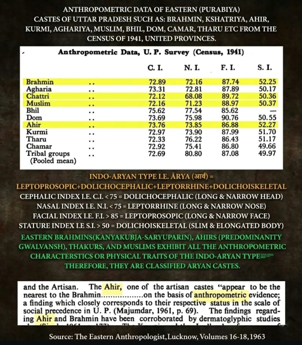 XDaemonY's tweet photo. @Light3675 @serrated227657 We are Gwalvanshi Ahirs, found only in Braj and Awadh-Banaras.

We maintain a distinct identity among Purabiya Yadavs and don't intermarry with them(other groups), and are well known for our looks, as reflected in the snippets below.

https://t.co/cXfq6biic9 https://t.co/AwIdNk3K3K