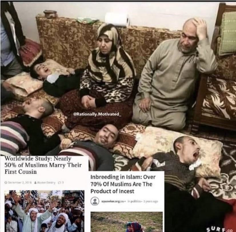 DatBoiDipski's tweet photo. @RealTPaine1 I mean I would say it with ya but it looks like they are doing plenty of that to each other...
Eh, fuck it. Fuck the disgusting sub-human pedophile worshiping cult that calls itself "Islam". https://t.co/OANDXatPqz