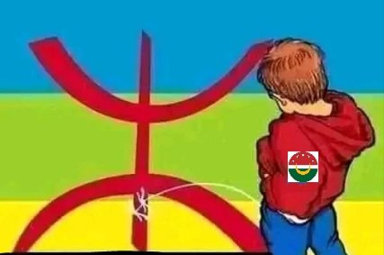 ساتوشي 🇲🇦 tweet media
