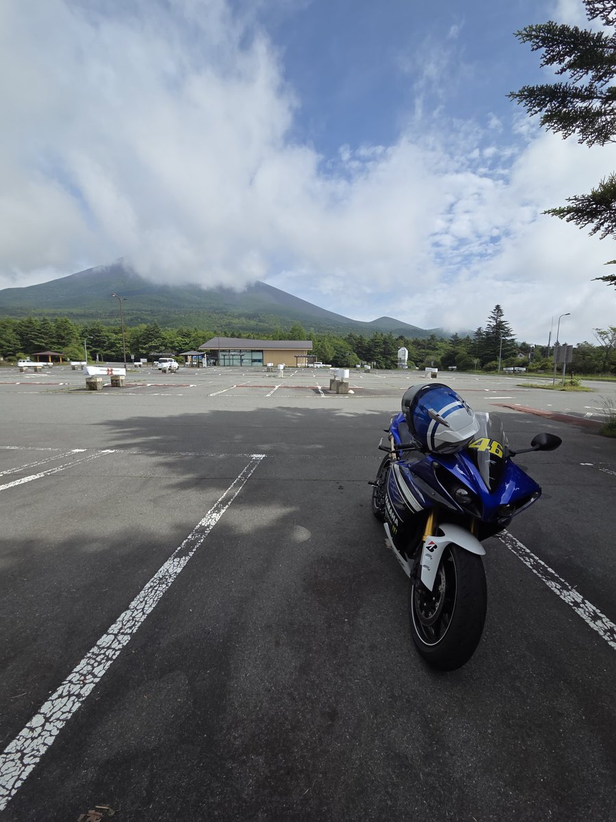 Mamazon_r1's tweet photo. 🦌×1
たぬき☠️×2 https://t.co/jh9bZgRXWO