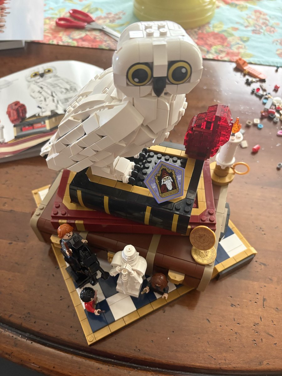 Dukefromaccount's tweet photo. Finished my Lego set today, back to pulverizing my meat in my free time https://t.co/9vvfDs7Fzp