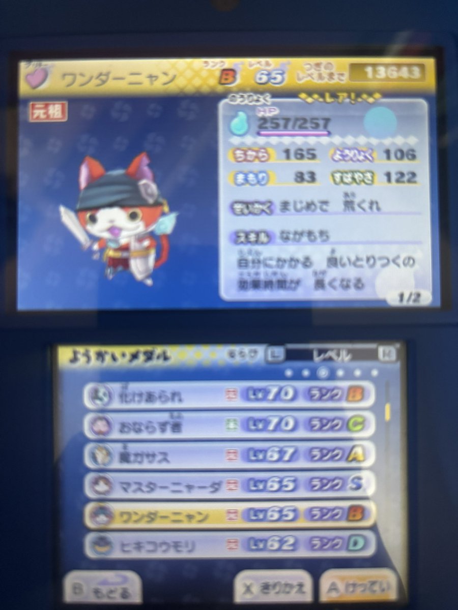 Sep_RGS's tweet photo. ワンダーニャンレアらしい https://t.co/gTfeYTVaen