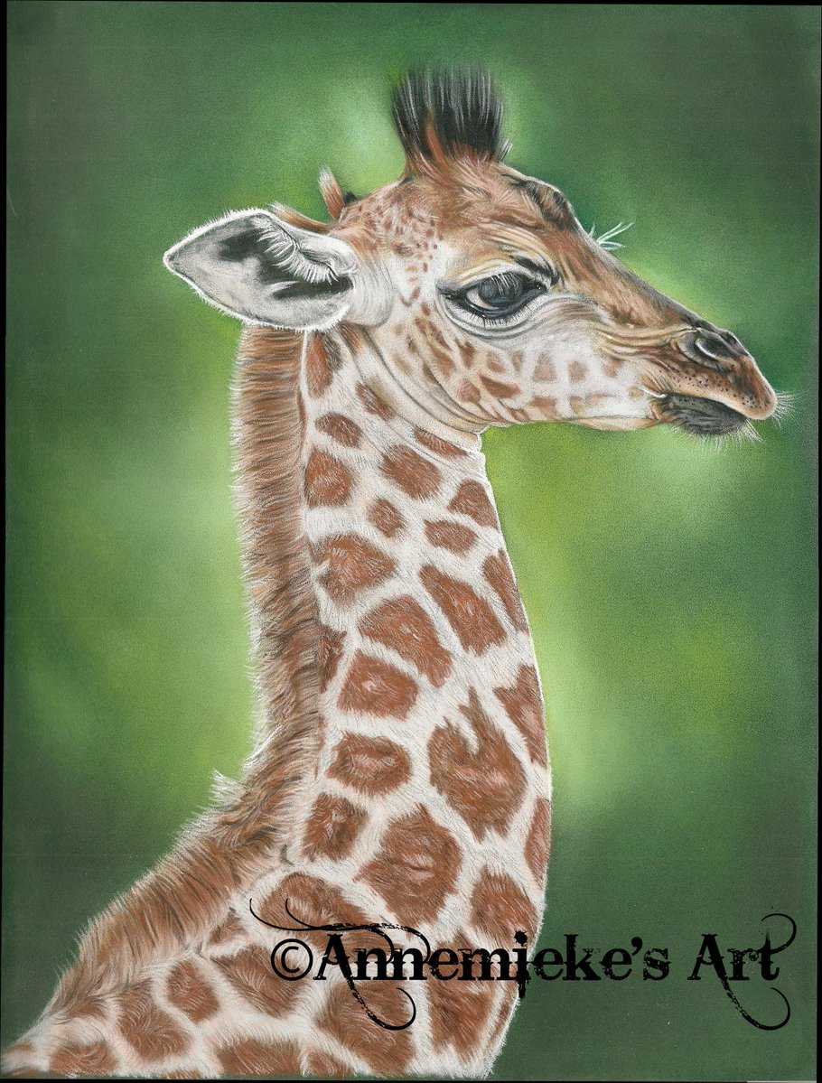 AnnemiekesArt's tweet photo. #worldgiraffeday

Nubian baby giraffe. coloured pencils on Pastelmat, PanPastel background. From my own photo.

#criticallyendangered https://t.co/LagwIjMGws