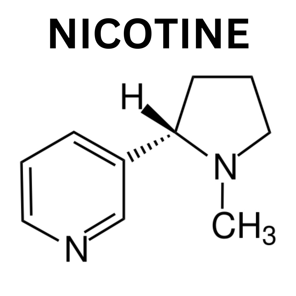 Outdoctrination's tweet photo. The benefits of NICOTINE will shock you. 

➱ Anti-inflammatory
➱ Promotes focus
➱ Dopamine enhancing
➱ Reduces oxidative stress
➱ Improves mitochondrial function (ups SIRT1)
➱ Improves memory
➱ Enhances learning
➱ Reduces amyloid plaque buildup
➱ Therapeutic in some IBDs
➱ Protective against myocarditis
➱ Protective in autoimmune conditions

Have all been demonstrated (to varying degrees) in research. It's not for everyone and does have its downsides - but it can be an absolute powerhouse.