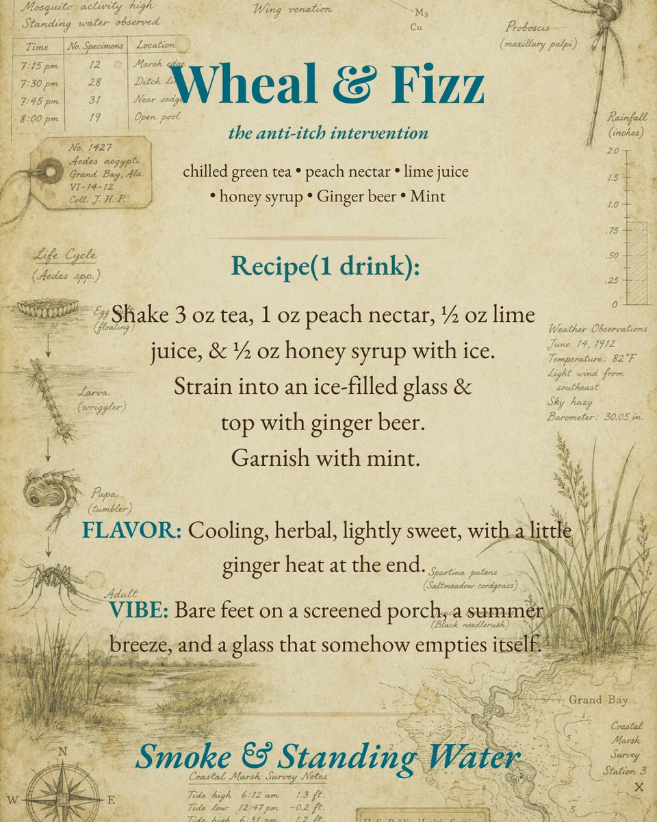 PathogenScribe's tweet photo. Coming Tues midnight CST on #InfectiousDose
#OutbreakAfterDark returns for a humid Gulf Coast summer night by the fire.🦟
Recipes ⬇️ if you'd like to listen along with a drink & a snack:
🥃 Night Hum
🍑 Wheal & Fizz
🍢 Grilled Proboscides
🍫 Afterbite
See you by the fire. https://t.co/x10k0w9ZEh