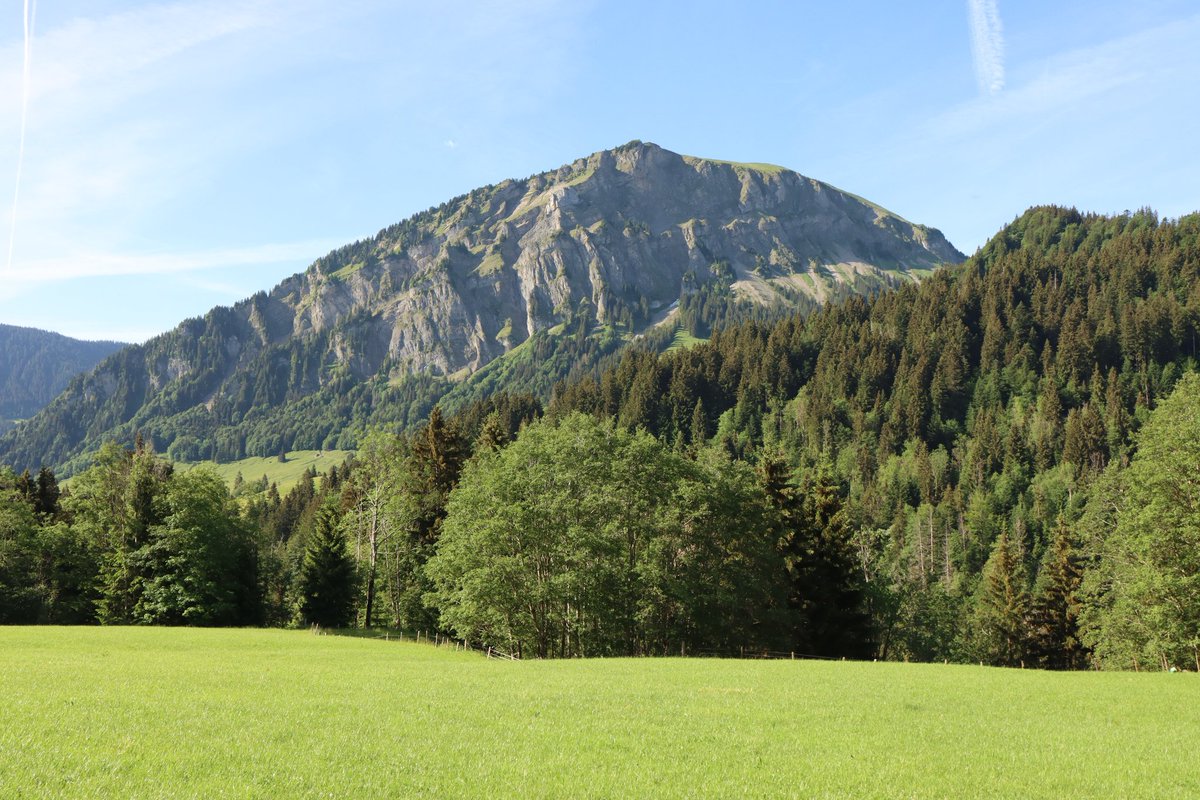 ArminZi's tweet photo. 🇨🇭 #lovenature https://t.co/m7tCw78KJl