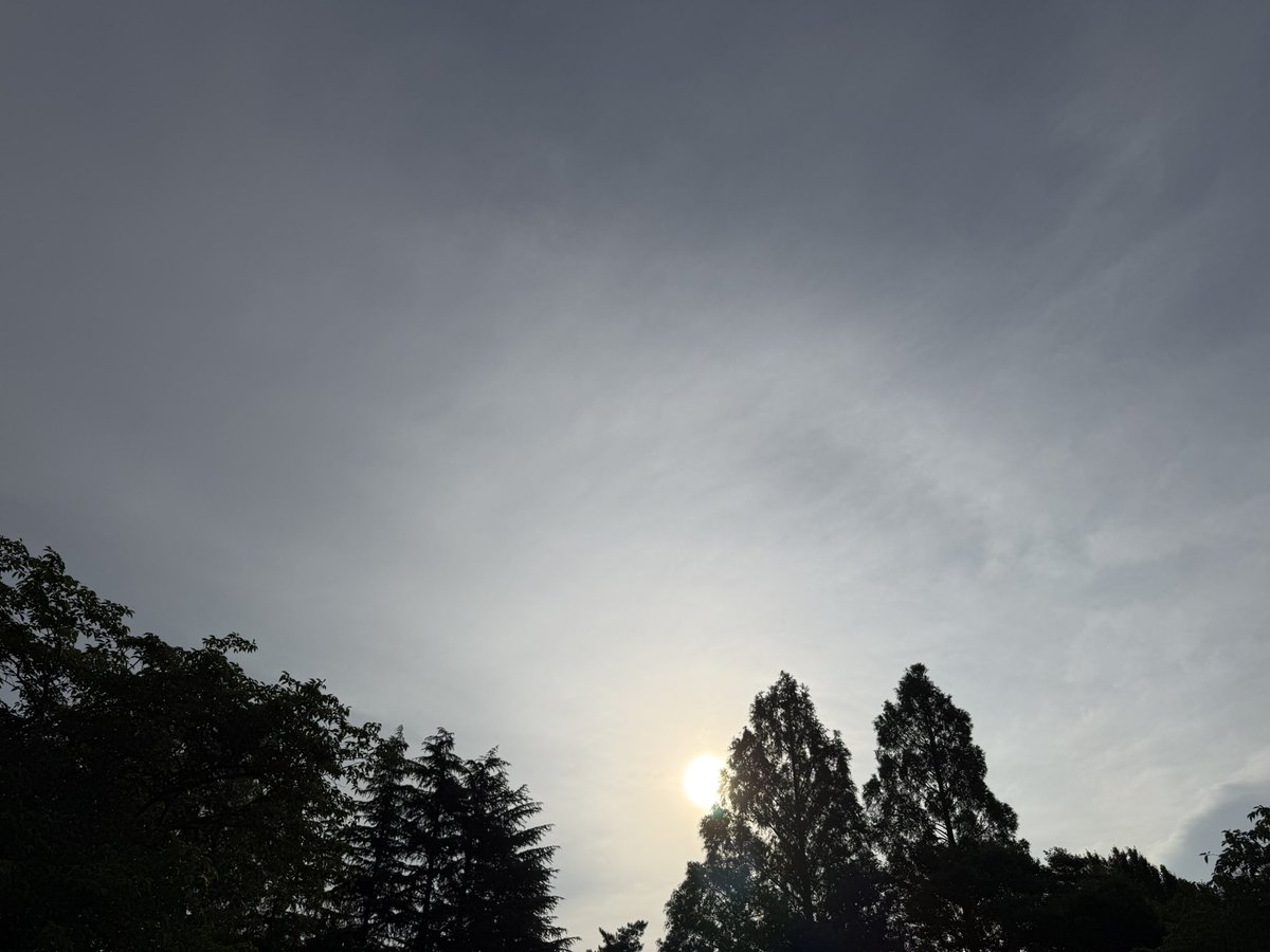 MSP_PiPi_san's tweet photo. おはようございます⛅️
#イマソラ #ランニング #朝ラン #マラソン https://t.co/IrDDmB1b1n
