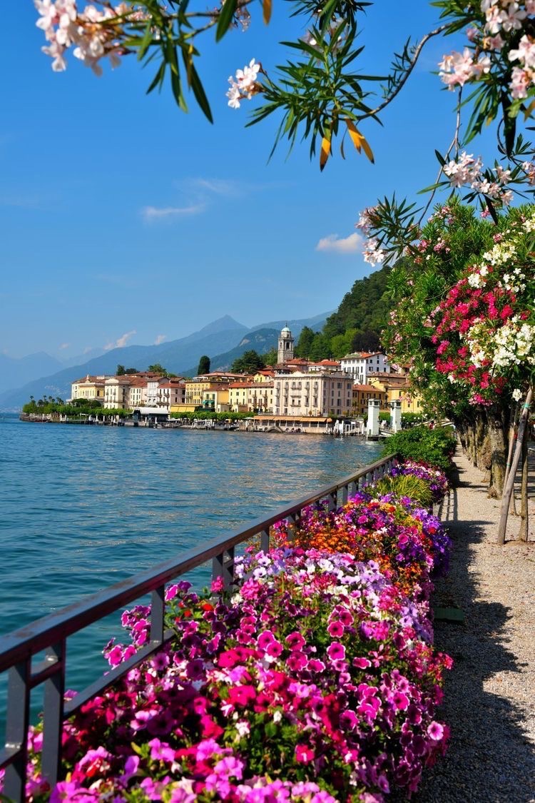 insperarise's tweet photo. flower-lined lakeside view 🌸 https://t.co/tk8lj11gj0