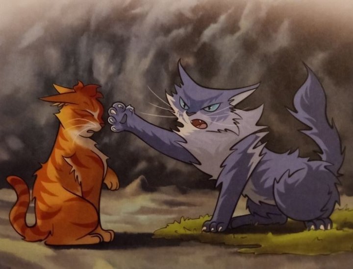 AlpacaAcute's tweet photo. Bluestar yelling at and beating up her adopted idiot ginger son https://t.co/qOaHq7DHHl