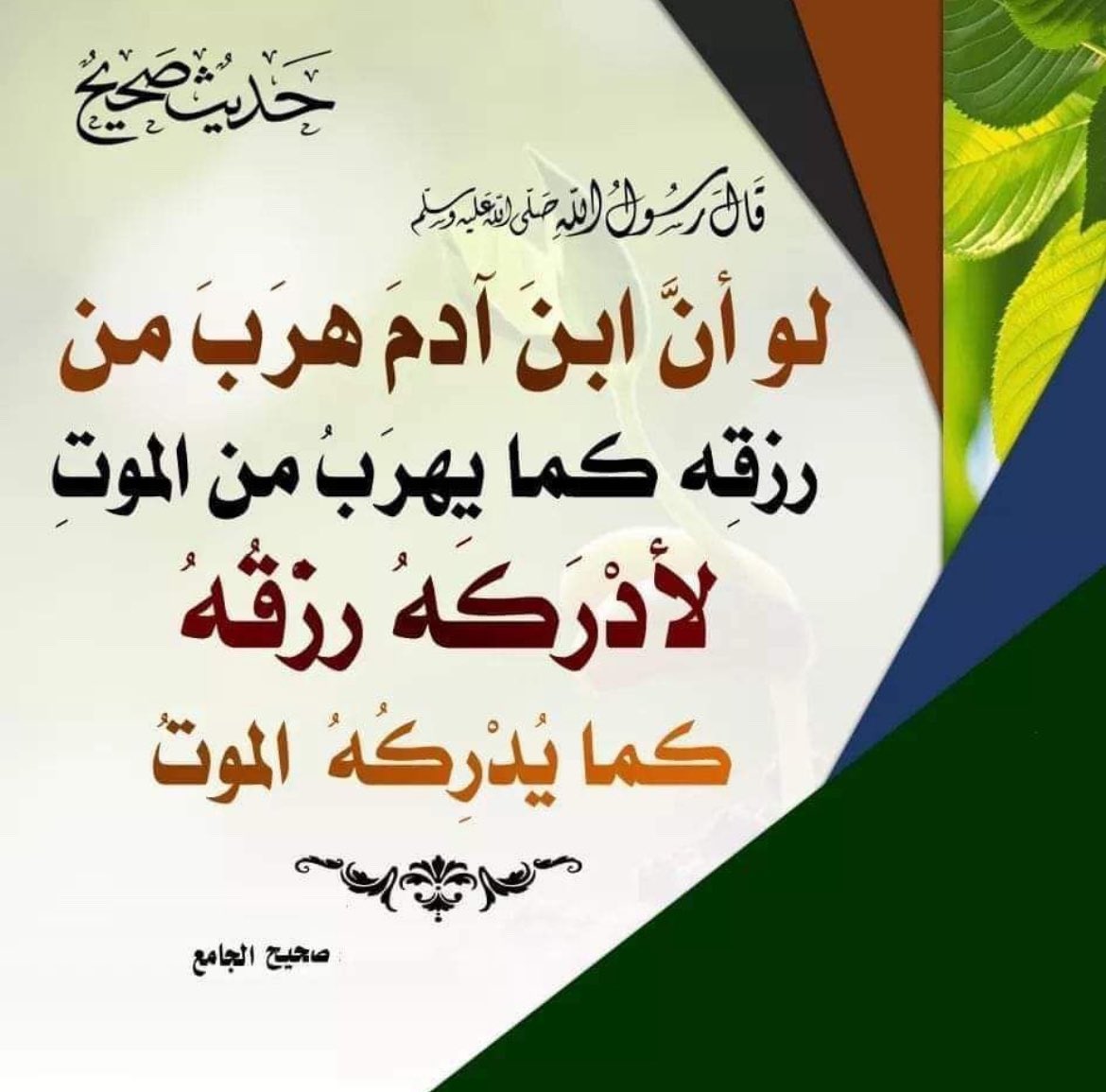 Q8pureness's tweet photo. https://t.co/wxkWMIG3eF