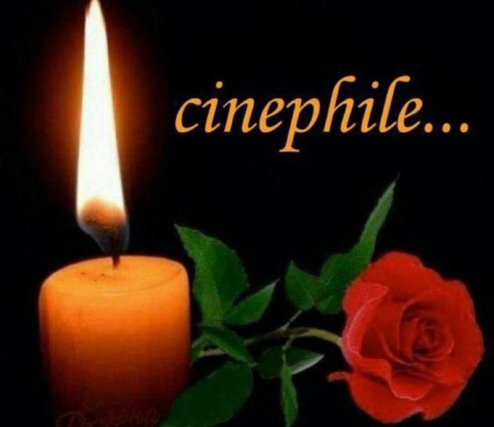 haditajpg's tweet photo. @ciervodehumo ME SALIERON CLIPS, QUE BELLEZA DE ANIMACIÓN me la veré, amo las peliculas soy esta https://t.co/9KbLVdVeDr