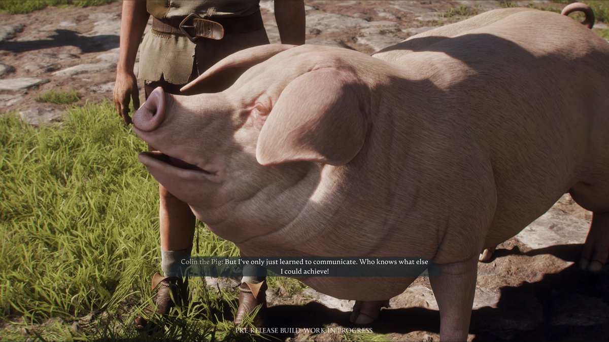 YayFable's tweet photo. Fable's Colin <> Fables' Colin.
Zwei sprechende Schweine mit einer Agenda: Den Menschen die Augen öffnen. 
#Fable #FableGame @fable https://t.co/GaYHjxZ712