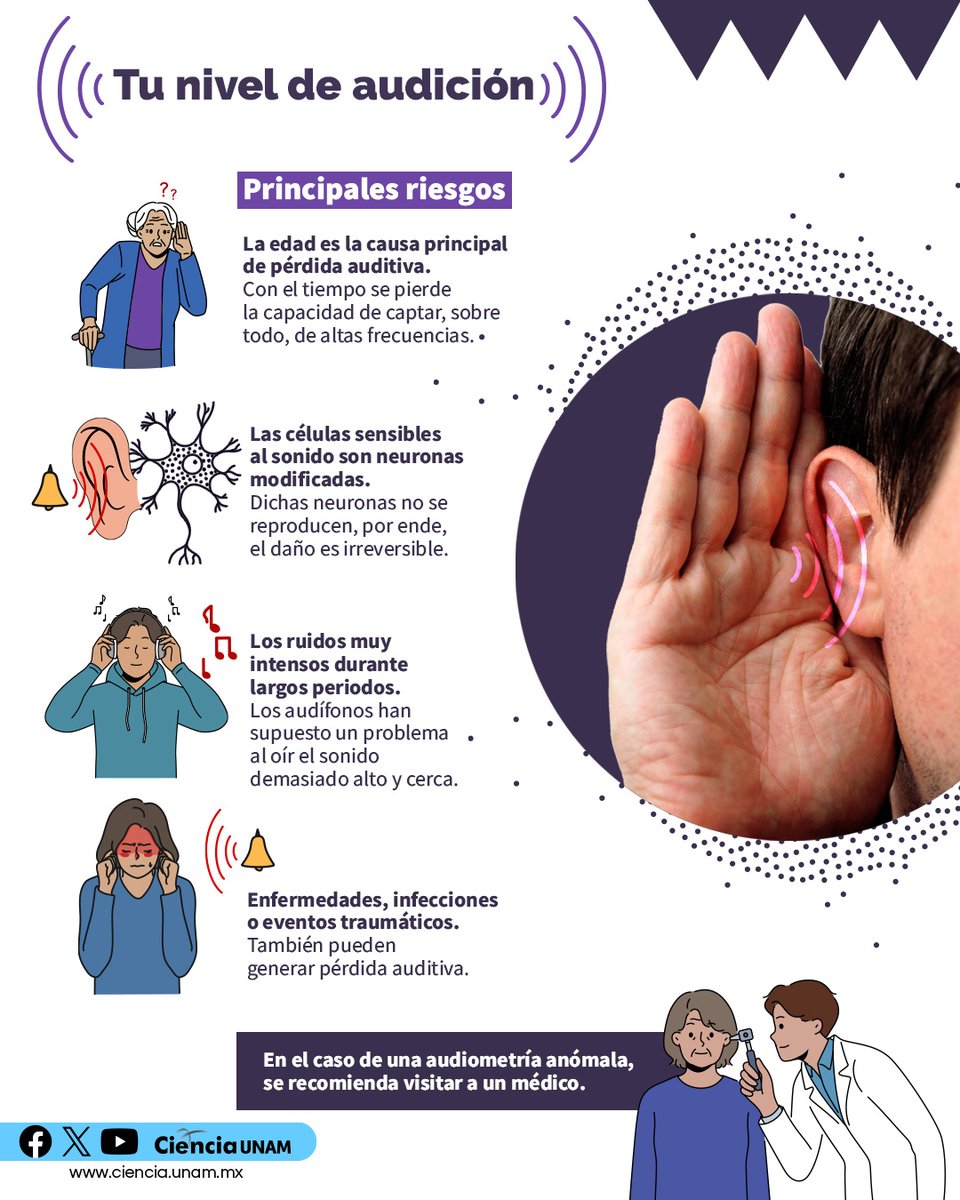 UNAM_MX's tweet photo. ¿Y tú ya conoces tu nivel de audición 🧏? Ten cuidado con los ruidos muy intensos durante largos periodos, como cuando usas audífonos 🎧.
Infografía de @Ciencia_UNAM 👇. https://t.co/PsMBOdnfsF