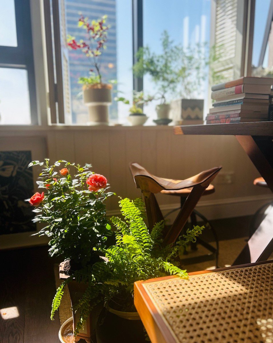 R7w7VYFCcXGETXD's tweet photo. Learning a new hobby Start small today! Try 10 mins of drawing, gardening or guitar practice. Small steps = big progress. https://t.co/1go0iDbp1t