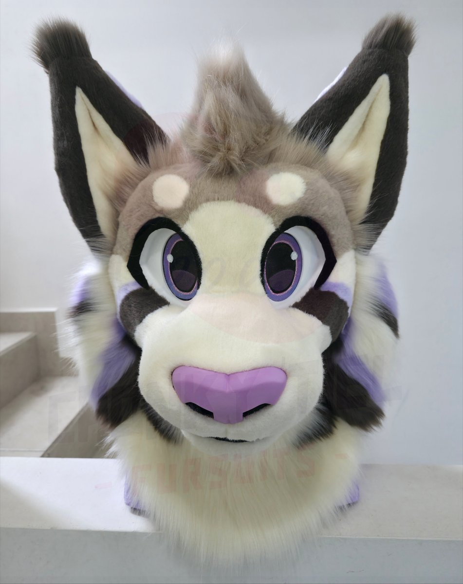 Chonky_Tiel's tweet photo. Evan Lynx is done! ✅️

It's our first lynx of the year!💕

It's a full partial that includes

Head on 3D printed base 
Handpaws
Tail
Sleeves
Outdoor feetpaws

We hope it makes its owner very happy 🐦

#Fursuit #Chonky #Chonky_tiel_fursuits #Chonky_tiel_creations #chonky_tiel https://t.co/C5Cg66vLyt