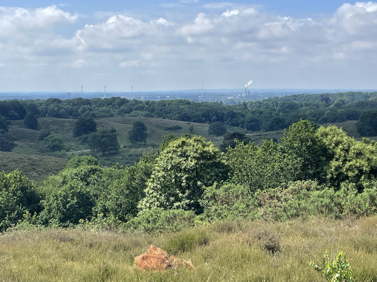 chriszeeven's tweet photo. Wandeling over de #Posbank met fraai uitzicht. De stuwwal is opgeduwd door het landijs van 3e ijstijd vanuit het zuiden! De heide begroeit overigens snel met bomen en struiken. Een schaapkudde probeert het te beheren. De beste stikstof beslissing was het afsluiten voor autoโs https://t.co/wfpSEt1qCp