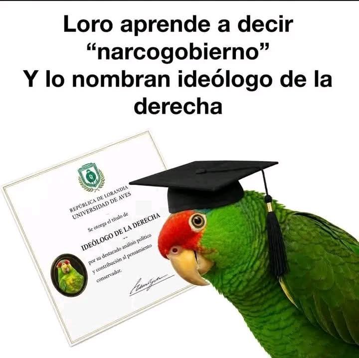 0Joderxjoder2's tweet photo. @qtf 8 años después les sigue ardiendo la cola... que risa 😂 🤣 😅 https://t.co/xQTJ60xWo9