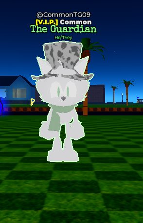 ManiacInBlue's tweet photo. // no matter where i go, even if it's a sonic roleplay game... i always find a way to involve slendytubbies https://t.co/zVSaVb5k6o