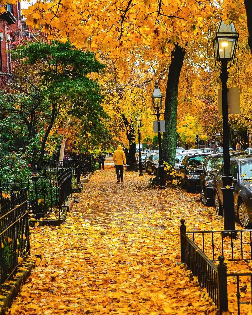 3kTJV2hy5pi32GD's tweet photo. This crisp autumn breeze + golden leaves = the perfect excuse for a walk outside ， https://t.co/lQy3XBqn6O
