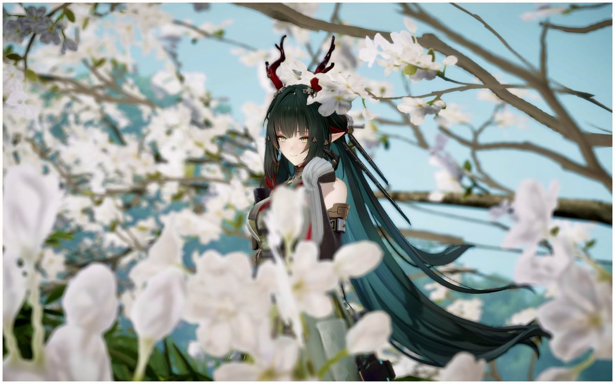 こむぎ (@komugi6a) / Posts / X