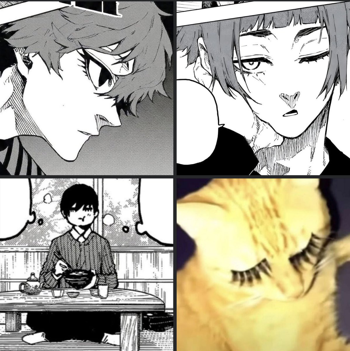 grell_o_O's tweet photo. Con sus pestañotas son literalmente ese gato 😭 https://t.co/zc1Irb0czY