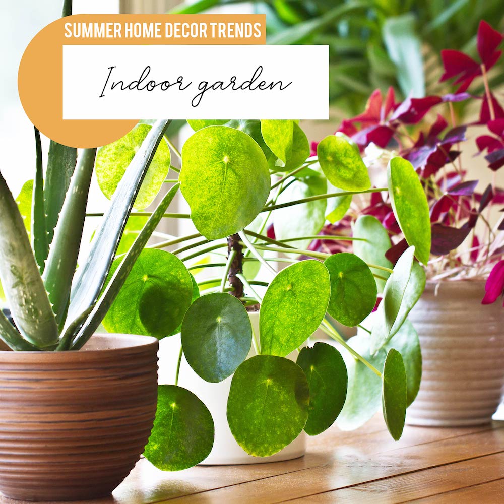kscheigert's tweet photo. Bring the outdoors inside this summer with an indoor garden you can admire from the comfort of your home.
#kandicescheigert #century21western #katyhomesforsale #katyrealestate https://t.co/qXeLUHec15