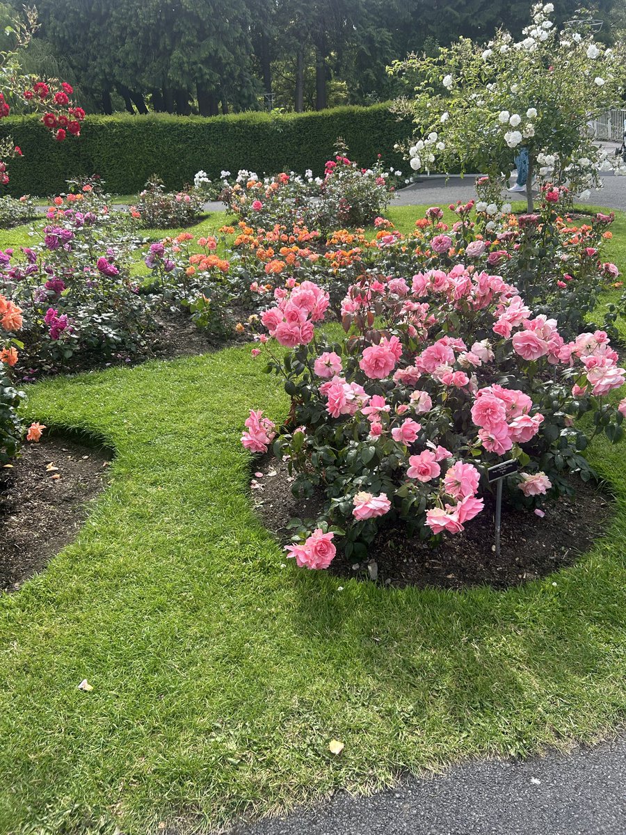 PMc276's tweet photo. The Botanic Garden here in Dublin is perfection, it’s so well maintained https://t.co/j6gsIY7d62