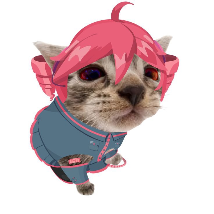 Femtrin's tweet photo. @Neyot_G I know... https://t.co/15IYXyrrZk