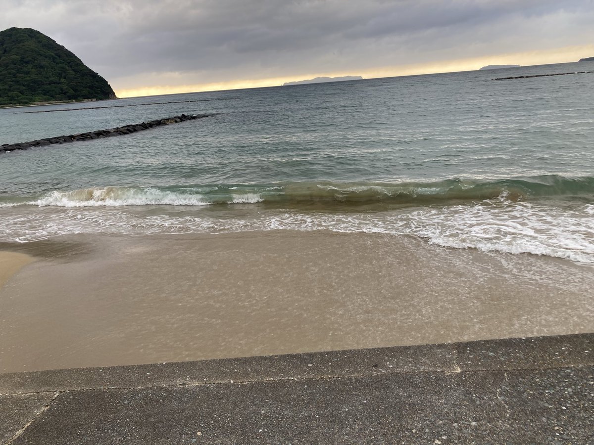 KOARAUI's tweet photo. 旅の思い出。楽しかったなぁ。さぁ、アコ、今日から仕事ですよ。起きなさい。 https://t.co/AsEq9K9OOl