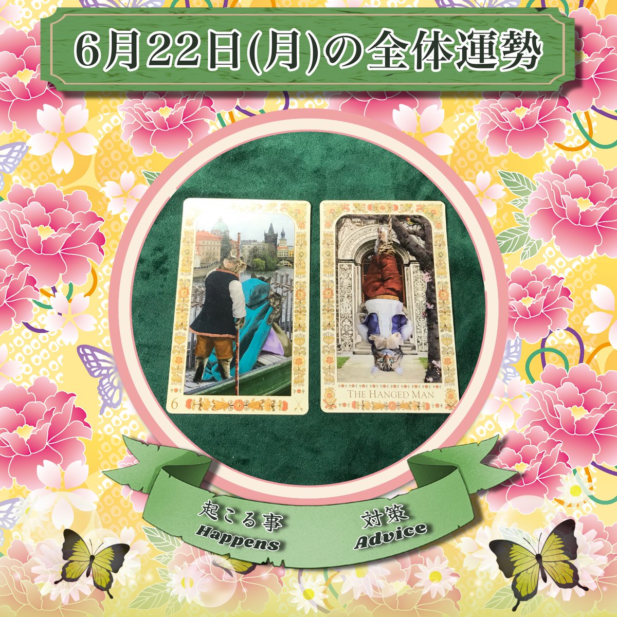 占い師 碧朽葉 緑（あおくちば みどり） tweet media