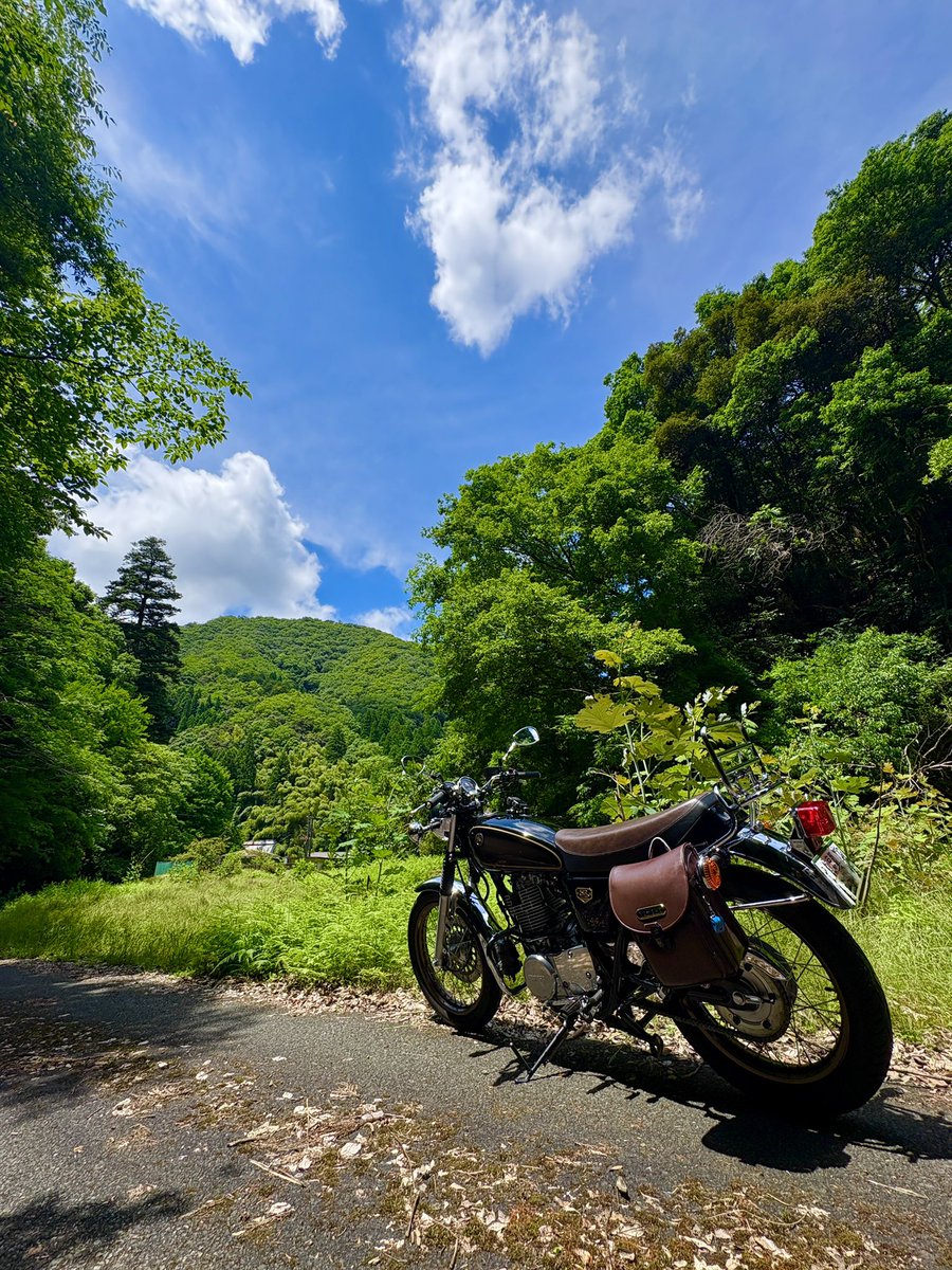 SR400FEL's tweet photo. #魅力のある緑を見せてください見た人全員強制 
#SR400 https://t.co/tnryEBafXg