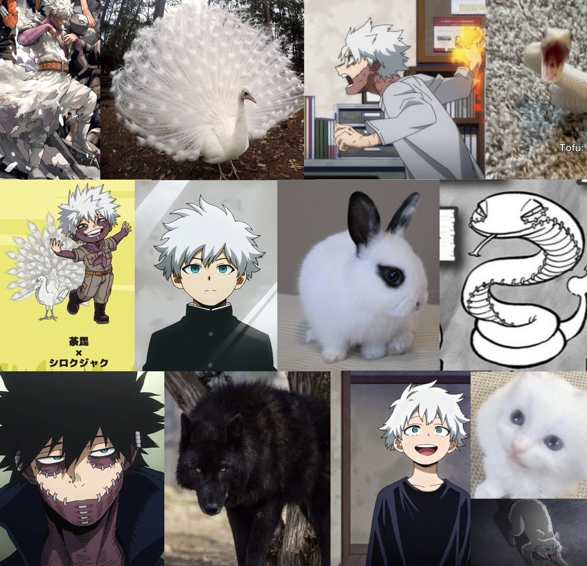 rindoustars's tweet photo. dabi has so many animals associated with him (a cat, a bunny, a wolf, a snake, a peacock, etc.) atp, he has the whole damn zoo https://t.co/UUe65K9Guw