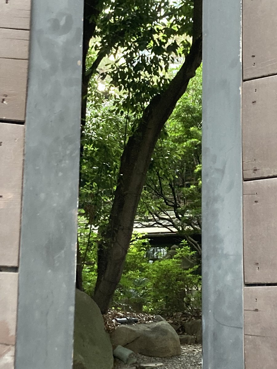 ichaelaw's tweet photo. 여름이야 https://t.co/0e7qlc6DMD